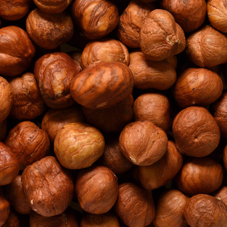 La nocciola: dalla terra al prodotto finito